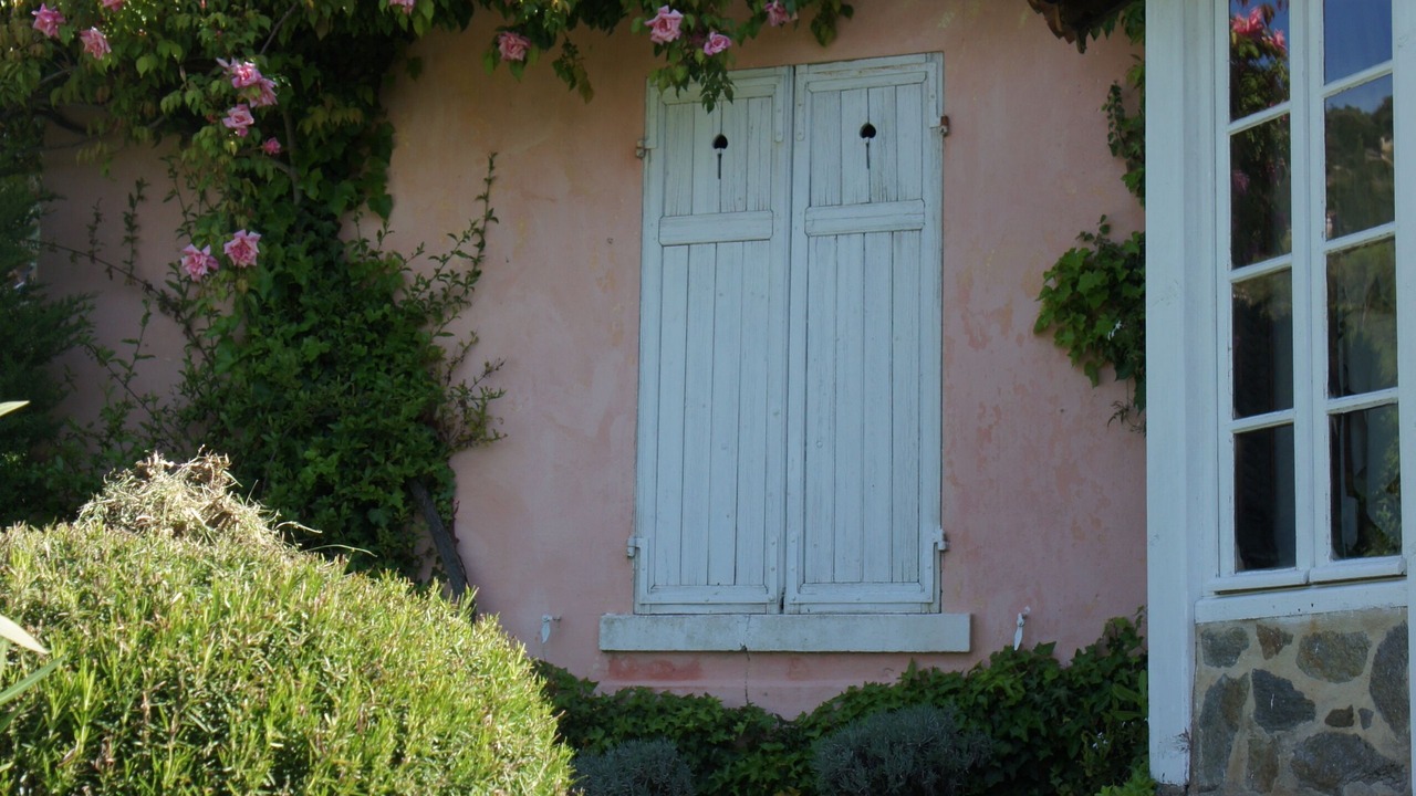 Photo of Outdoor in Le Rayol