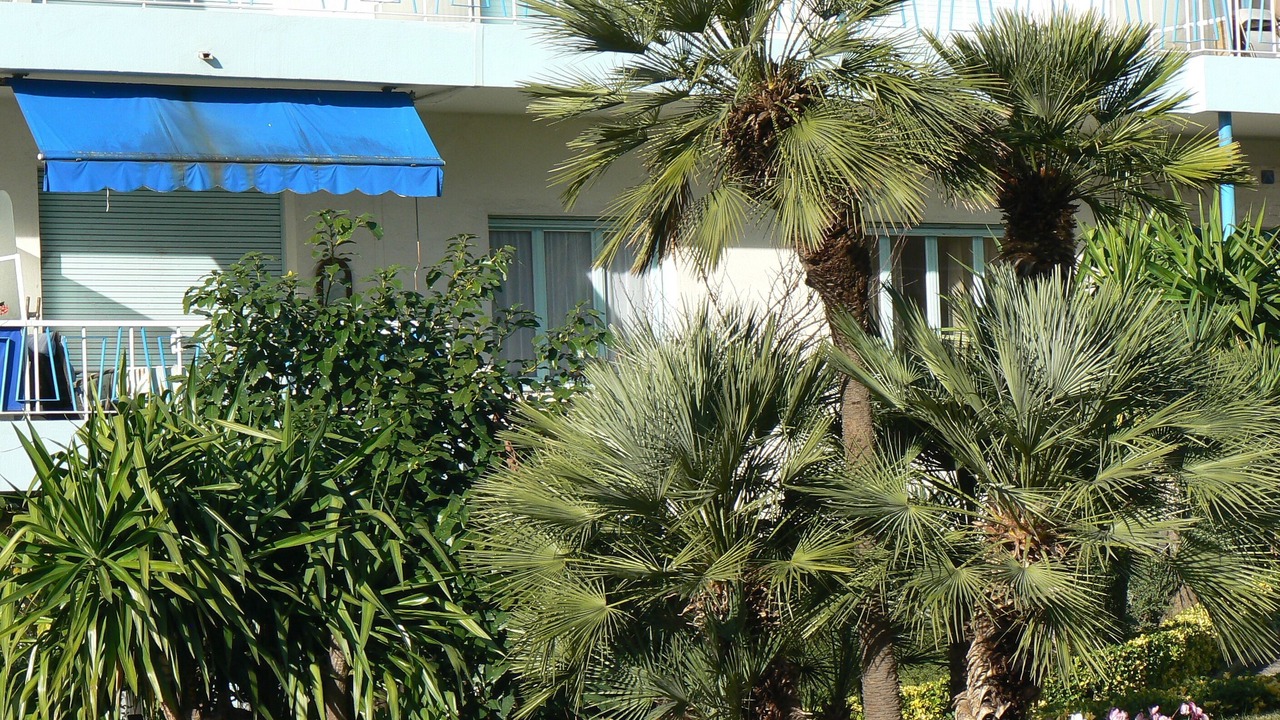 Photo of Outdoor in Lazaret