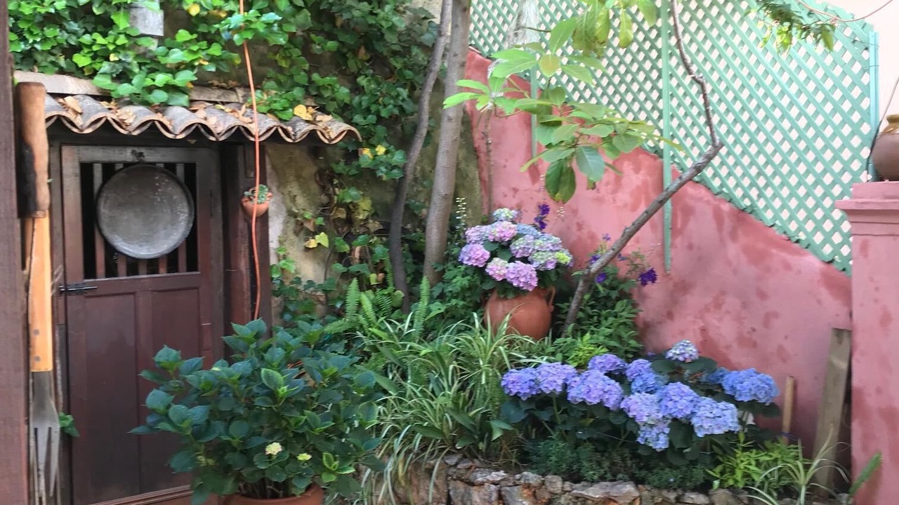 Photo of Outdoor in Menton