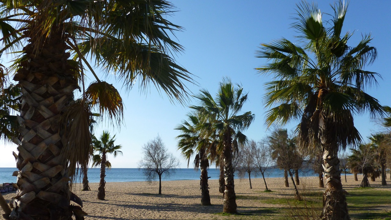 Photo of Others in Frejus Port