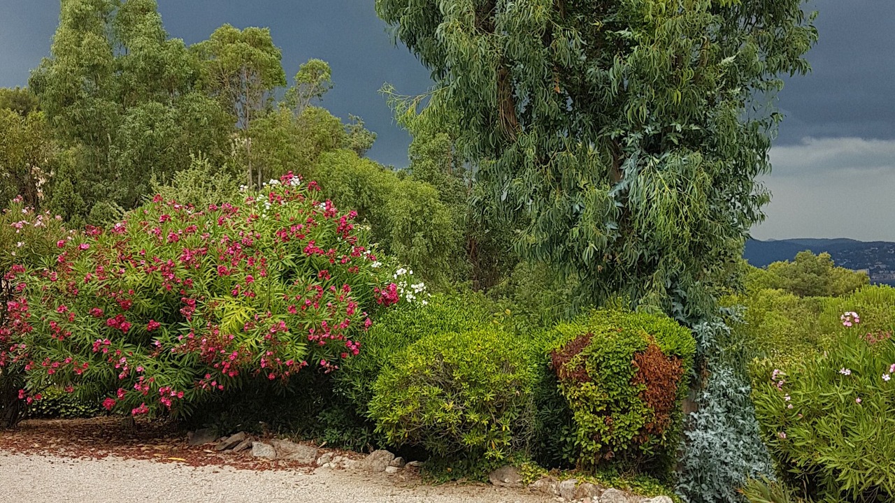 Photo of Outdoor in Saint-Tropez