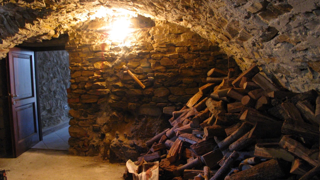 Photo of Others in Maglietola