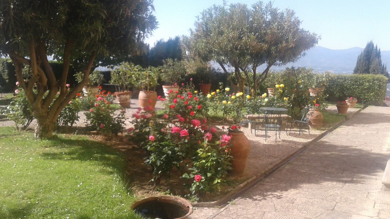 Photo of Outdoor in Petrognano