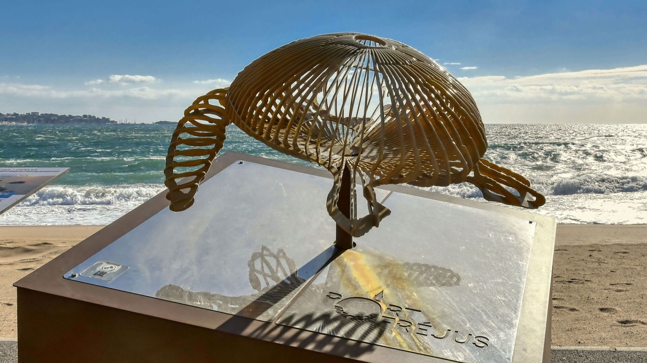 Photo of Outdoor in Frejus Port