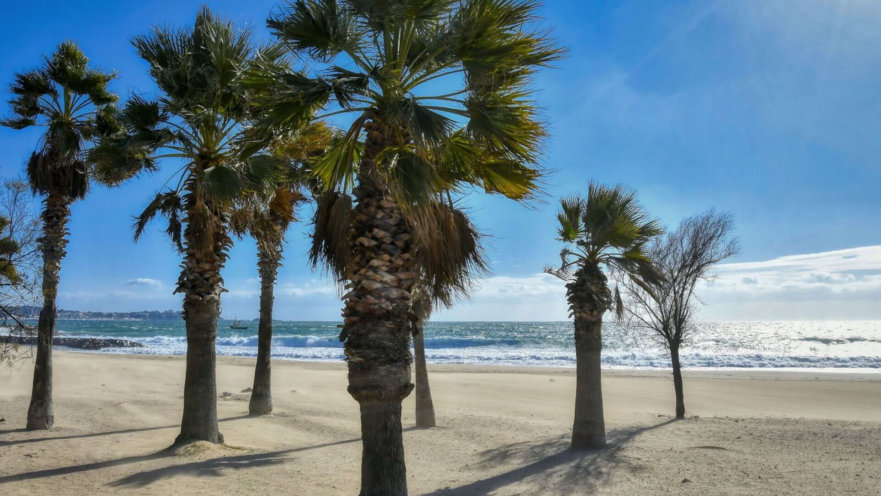 Photo of Outdoor in Frejus Port