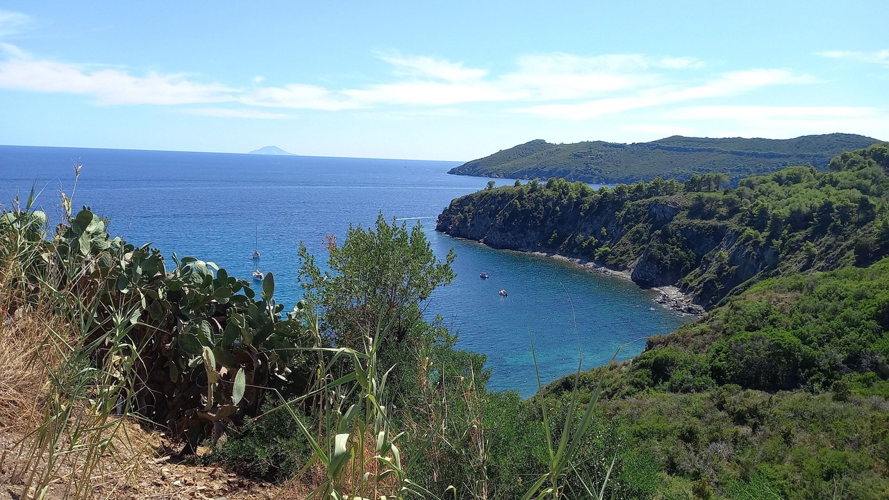 Photo of Others in Capoliveri