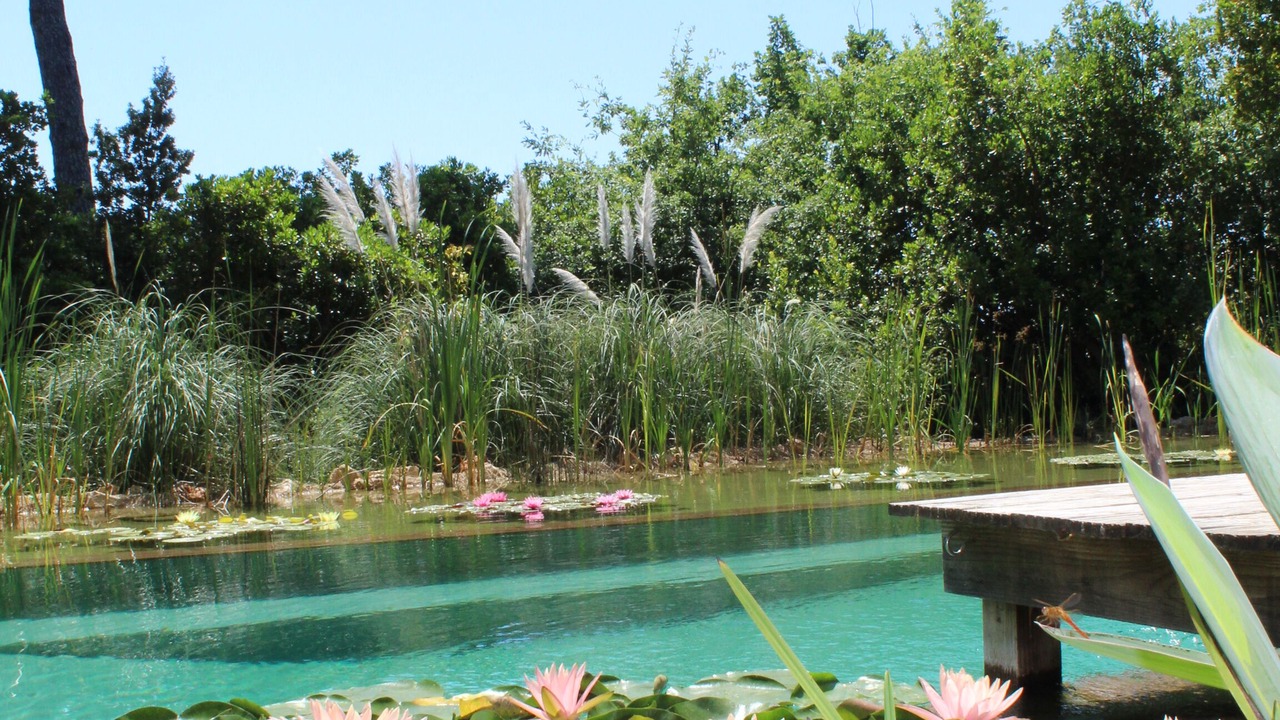Photo of Outdoor in Grasse