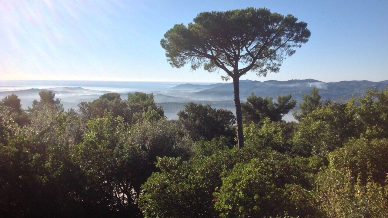 Photo of Others in Grasse