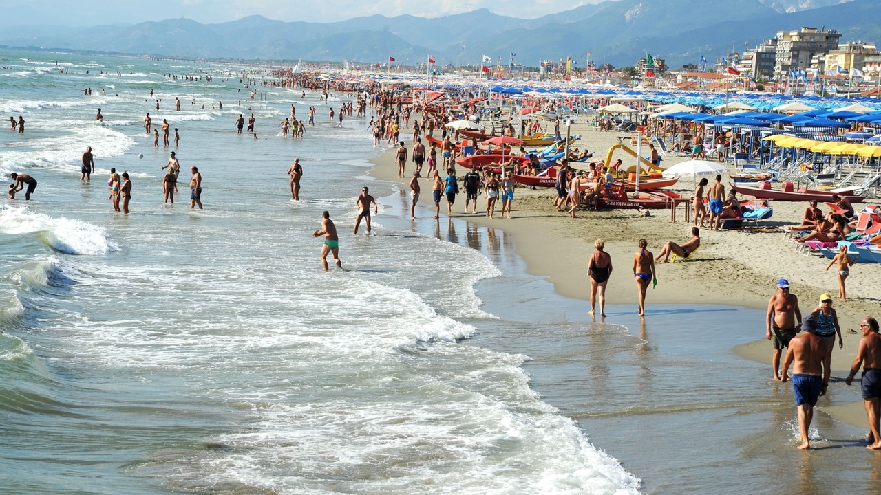 Photo of Others in Viareggio