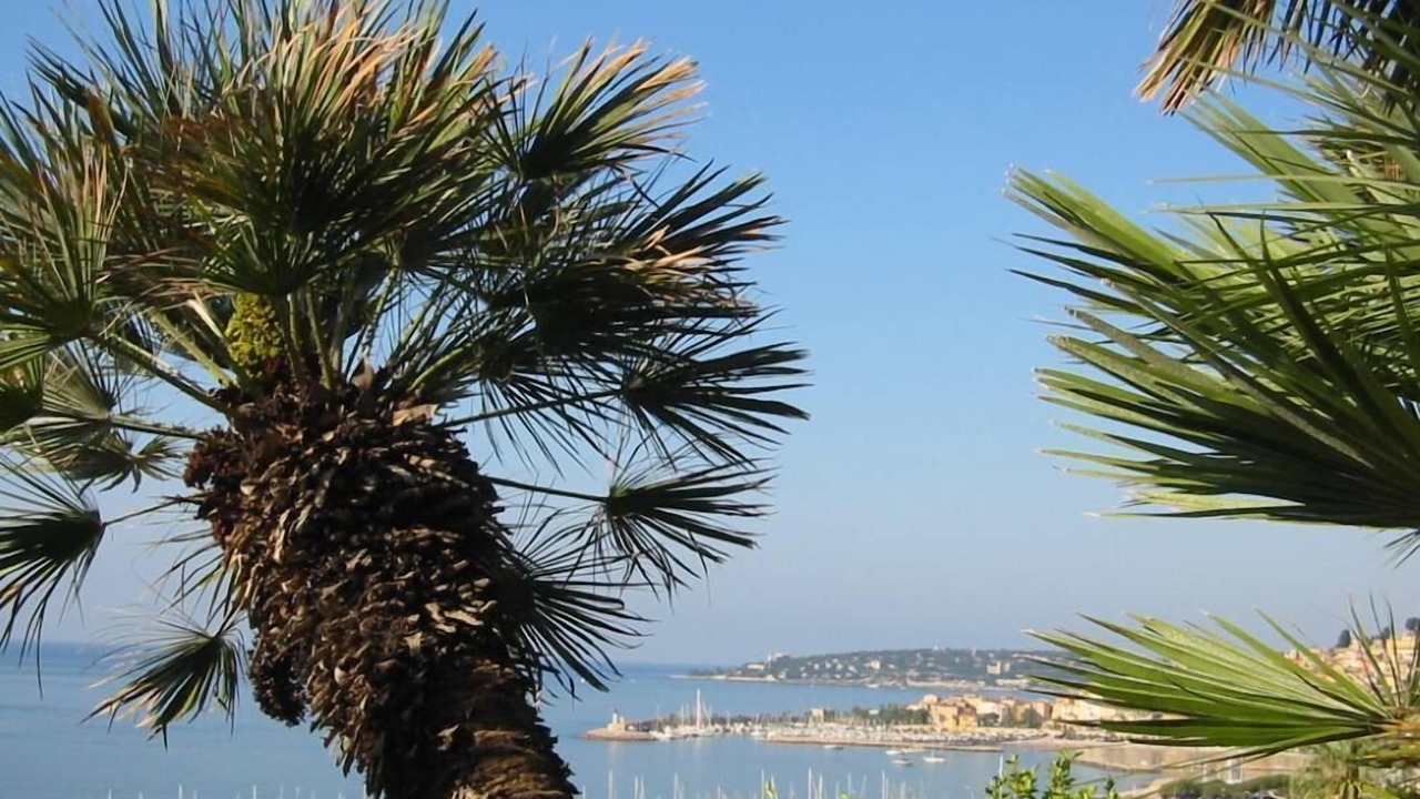 Photo of Others in Menton