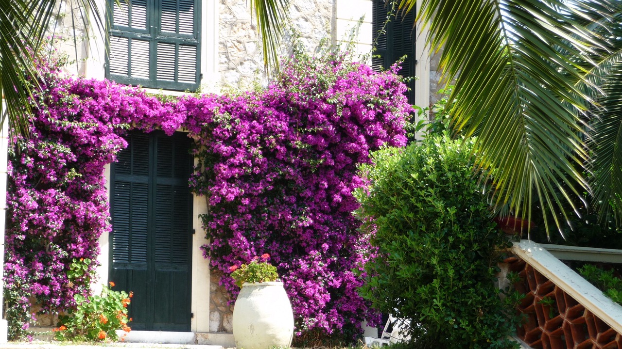 Photo of Outdoor in California - Pezou