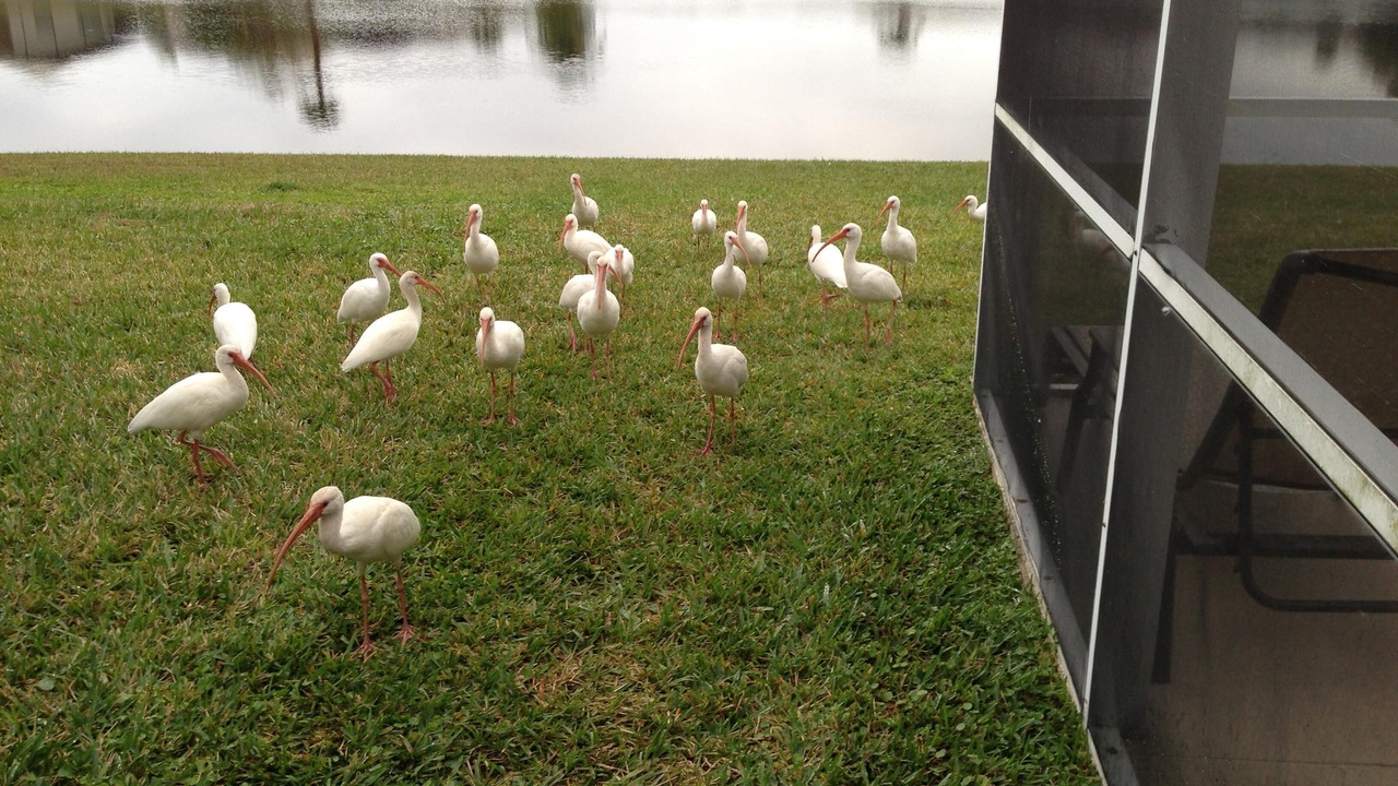 Photo of Others in Eagle Pointe South
