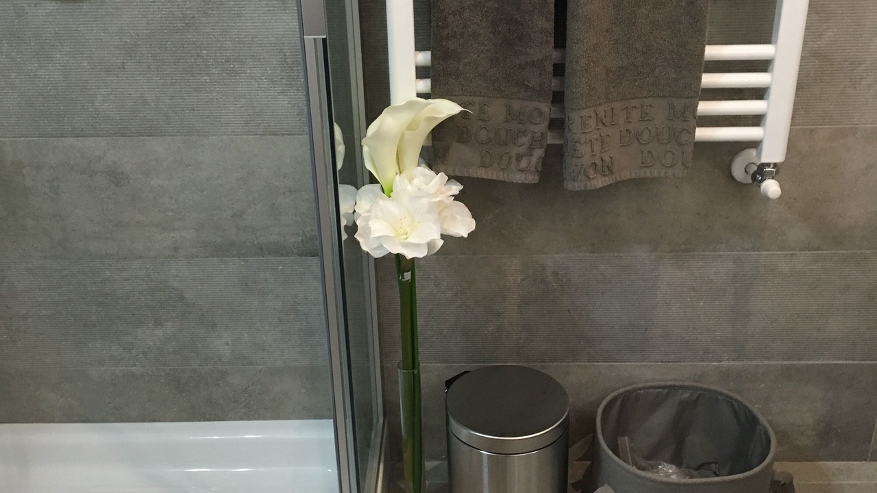 Photo of Bathroom in Montignoso