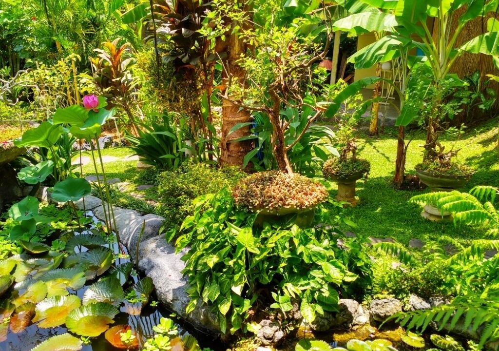 Photo of Outdoor in Penatih