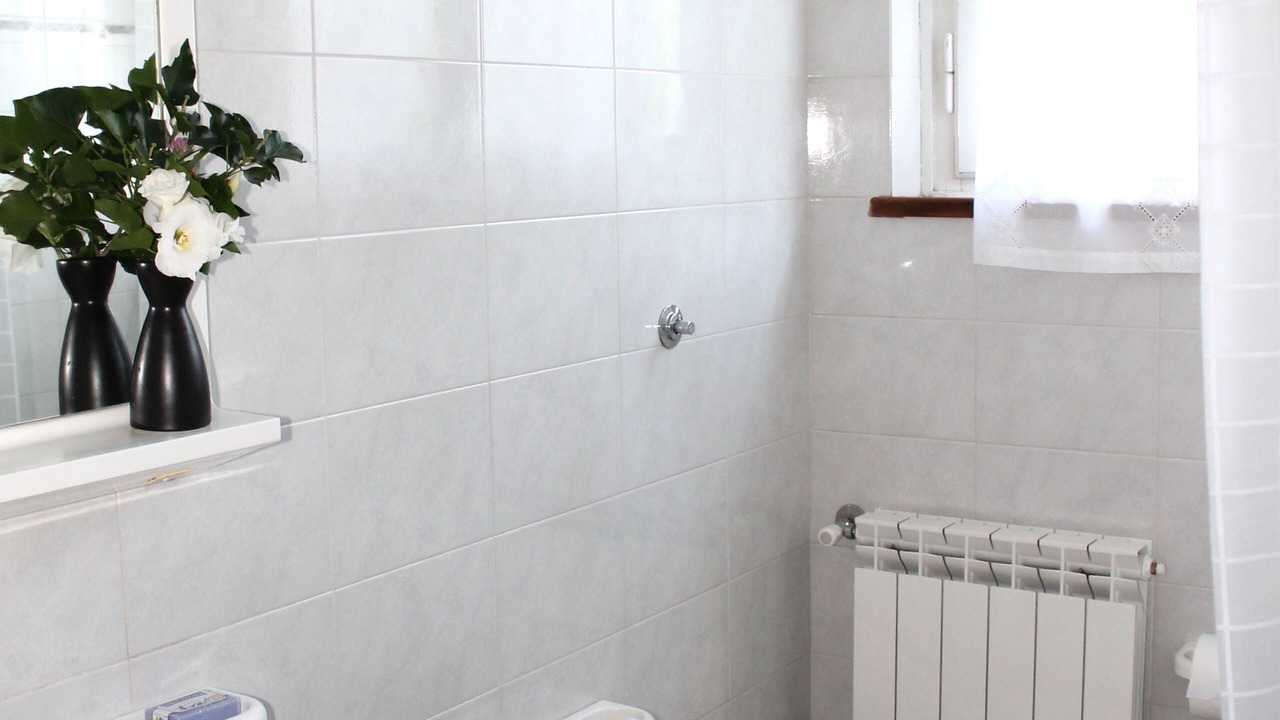 Photo of Bathroom in Massarosa