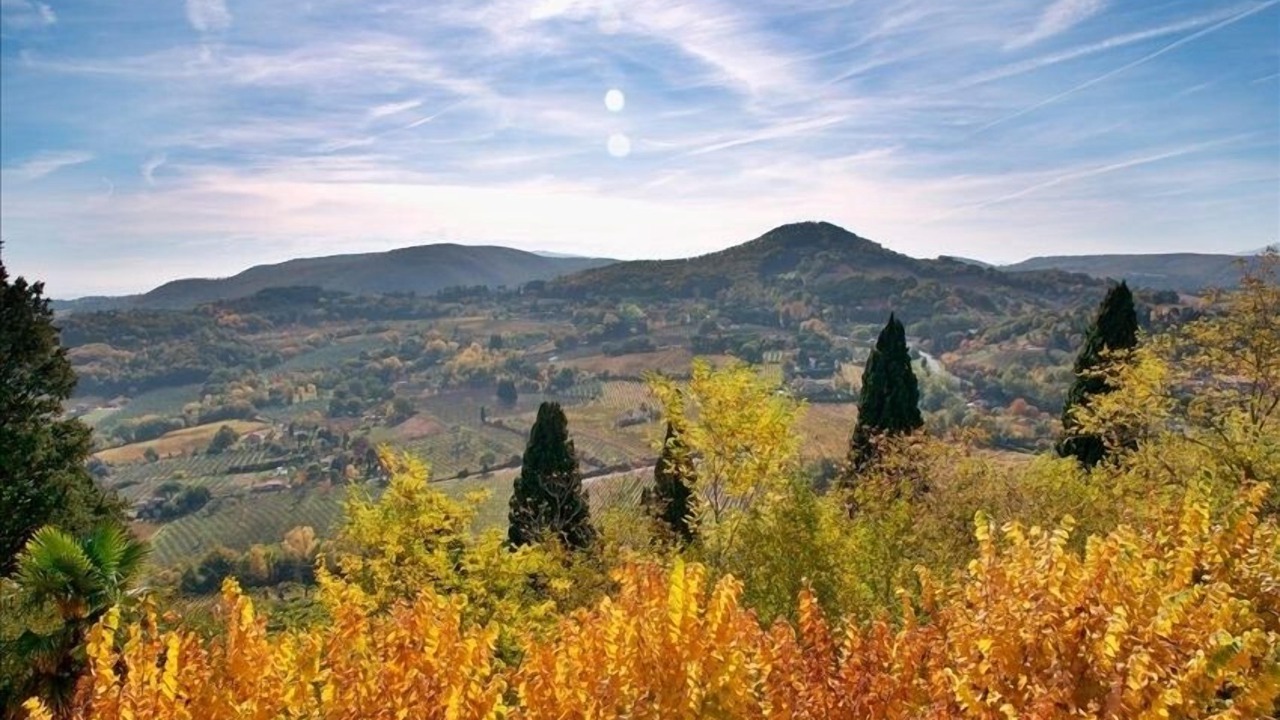 Photo of Others in Montepulciano