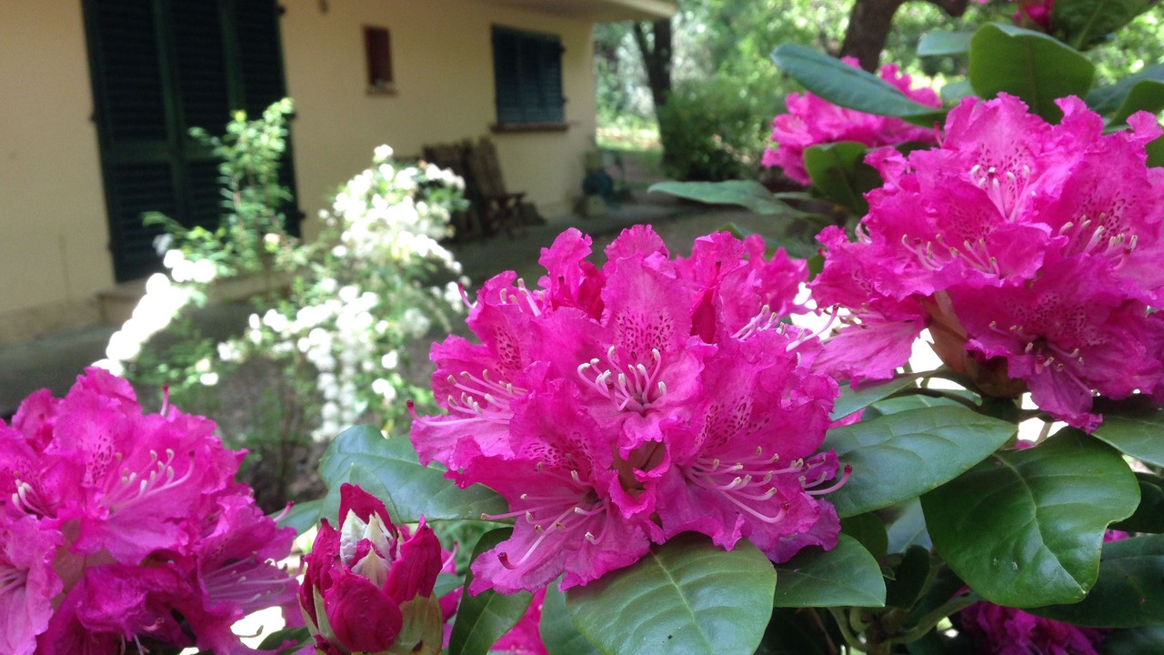 Photo of Outdoor in Vaglia