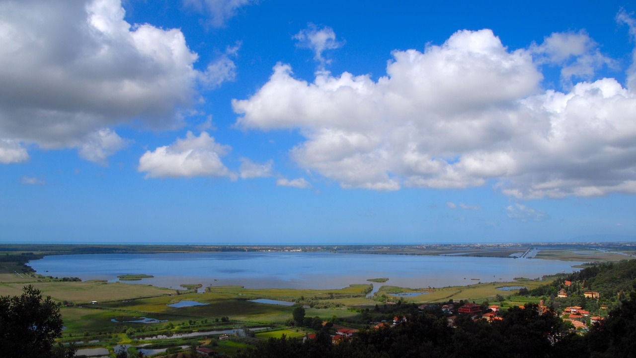 Photo of Others in Torre del Lago Puccini