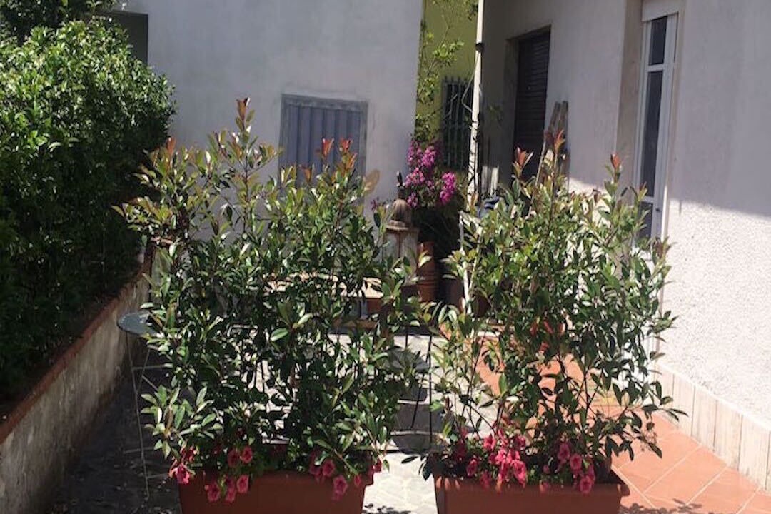 Photo of Outdoor in Torre del Lago Puccini