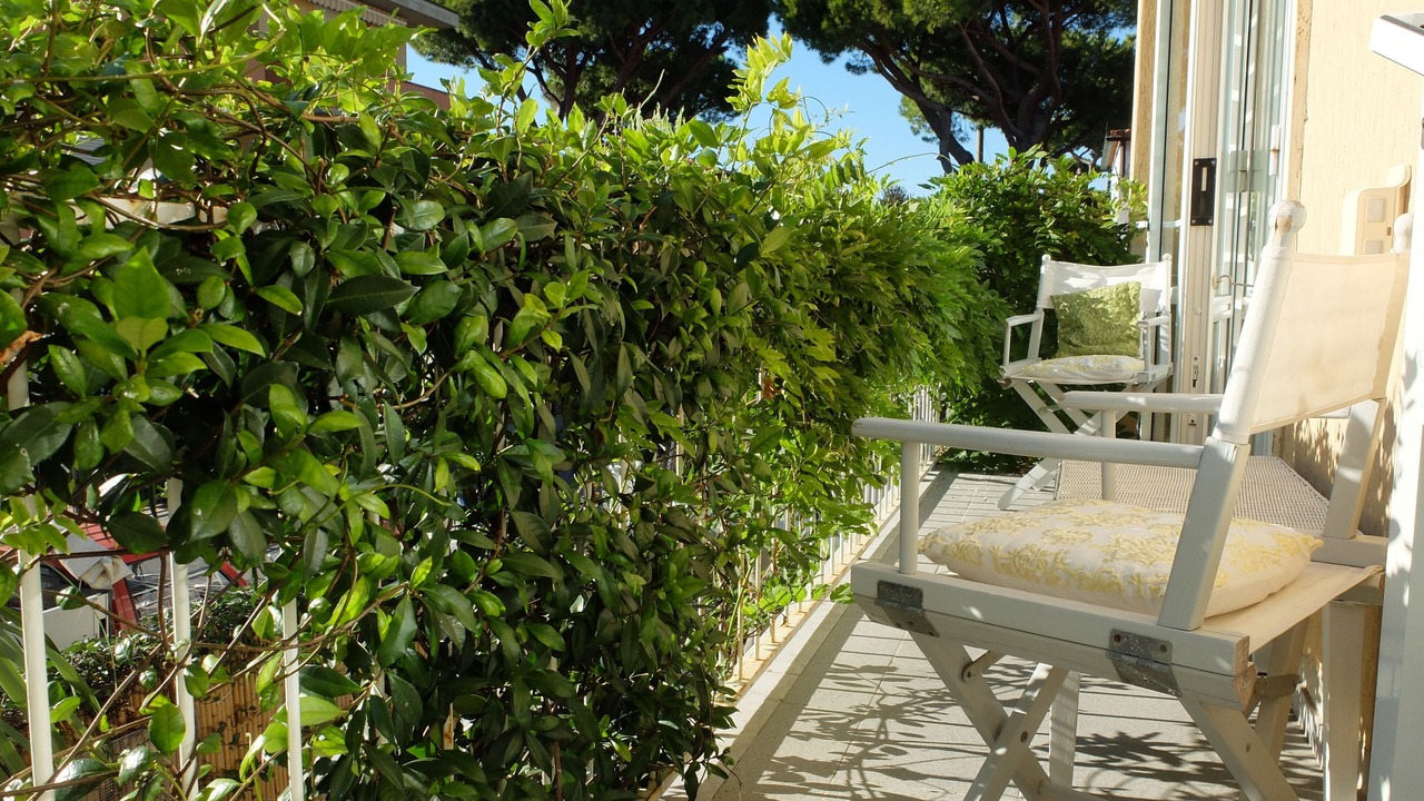 Photo of Outdoor in Lido di Camaiore