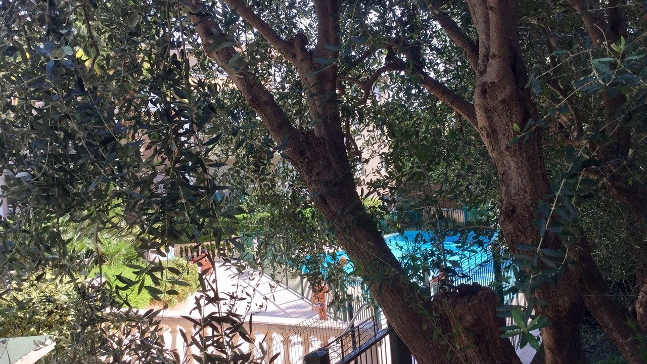Photo of Outdoor in Prado - Republique