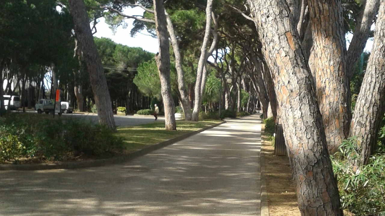Photo of Outdoor in Rosignano Solvay