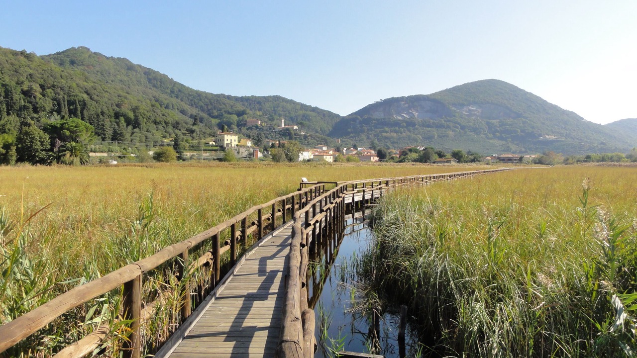 Photo of Others in Camaiore