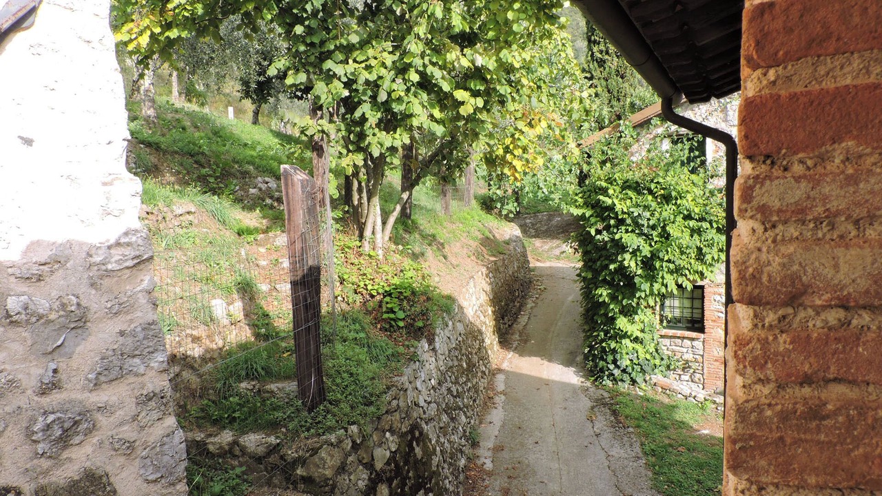 Photo of Outdoor in Camaiore