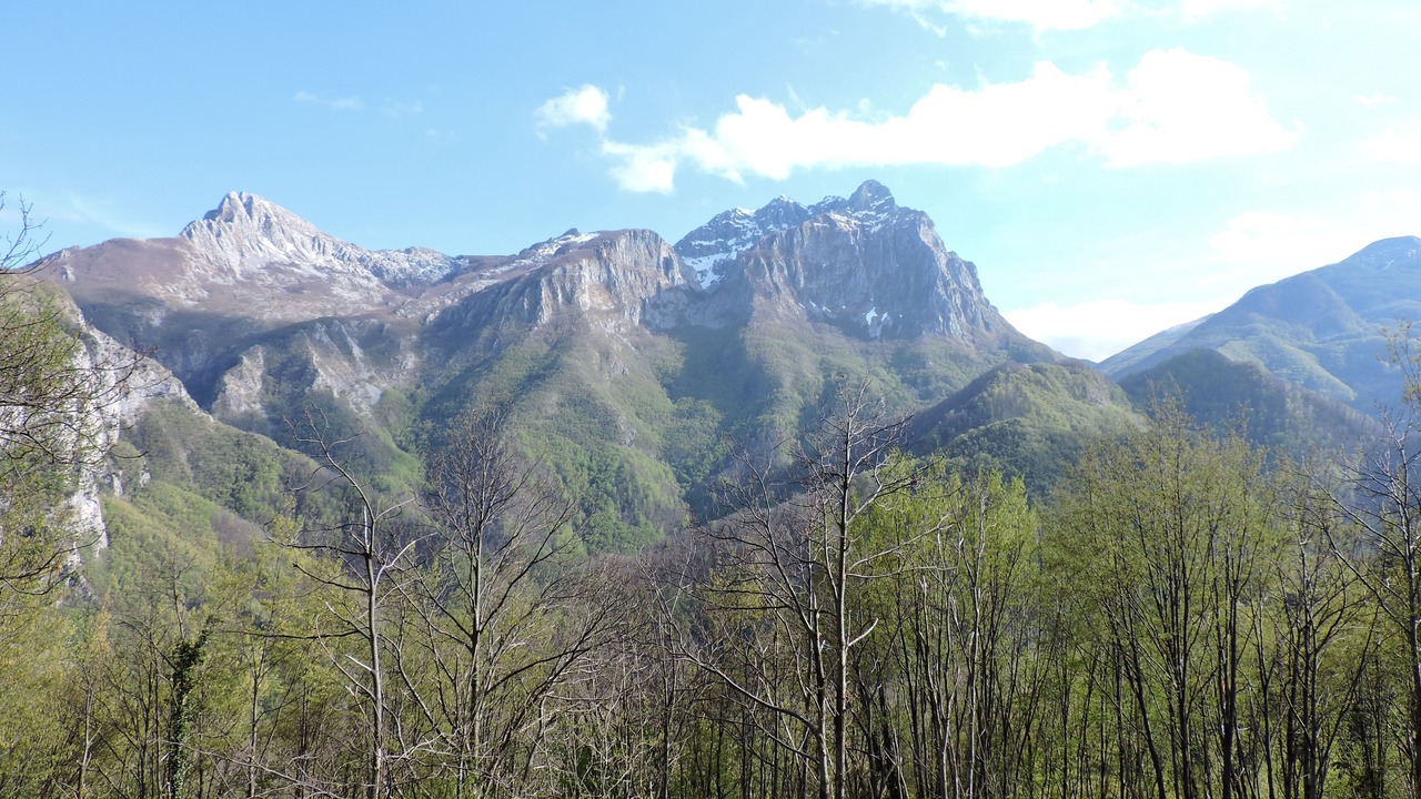 Photo of Others in Camaiore