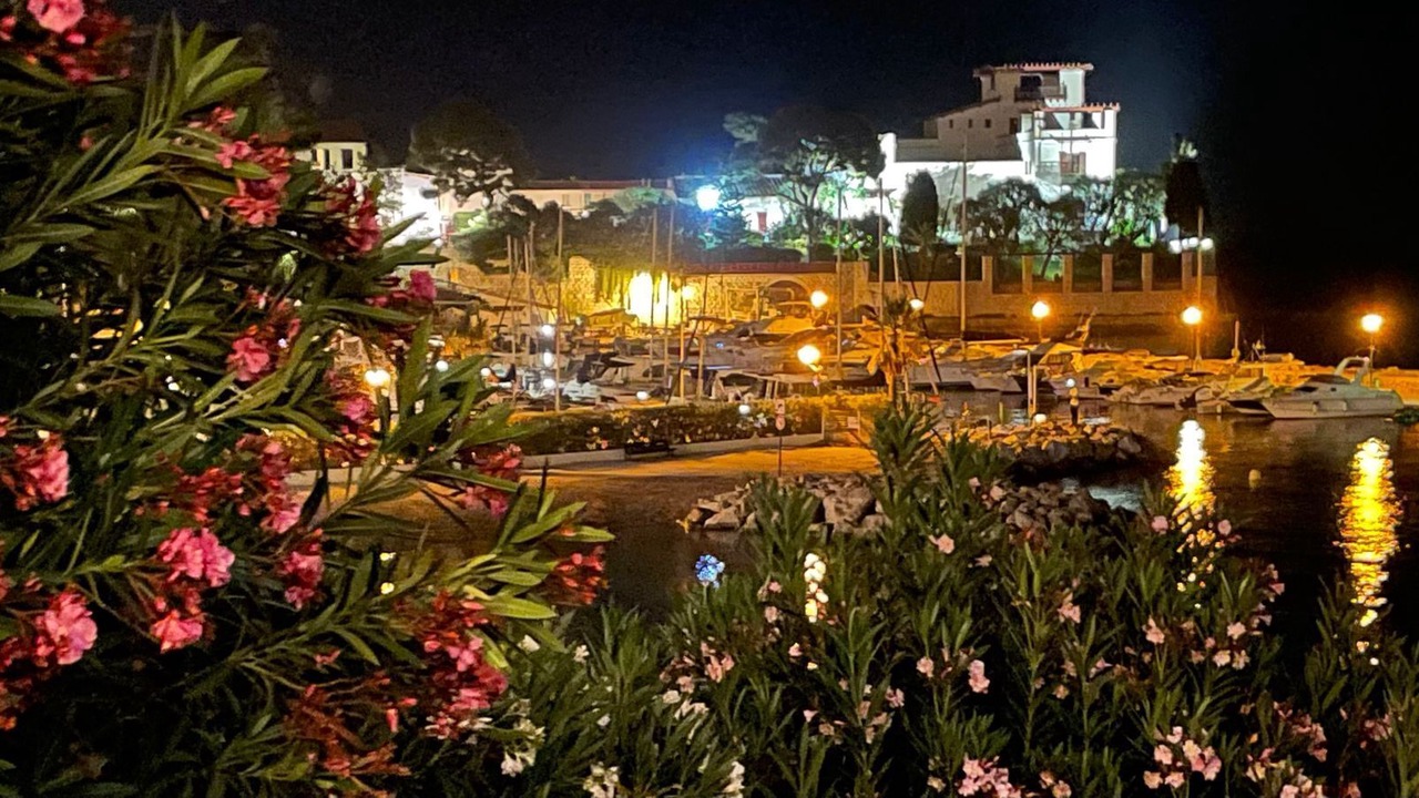Photo of Others in Beaulieu-sur-Mer