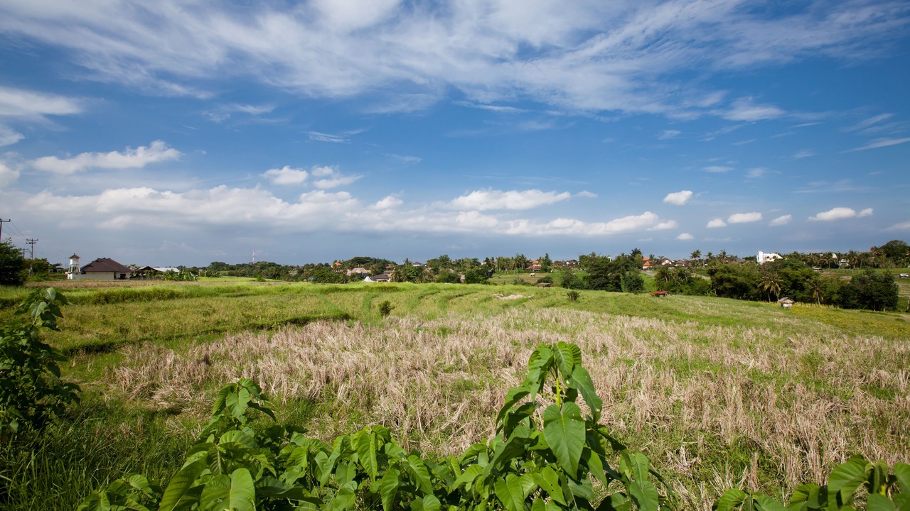 Photo of Outdoor in Pererenan