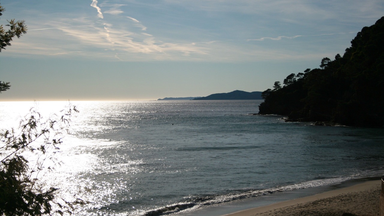 Photo of Others in Le Rayol