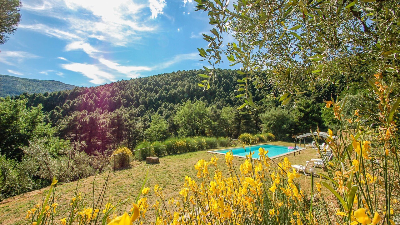 Photo of Outdoor in Buti