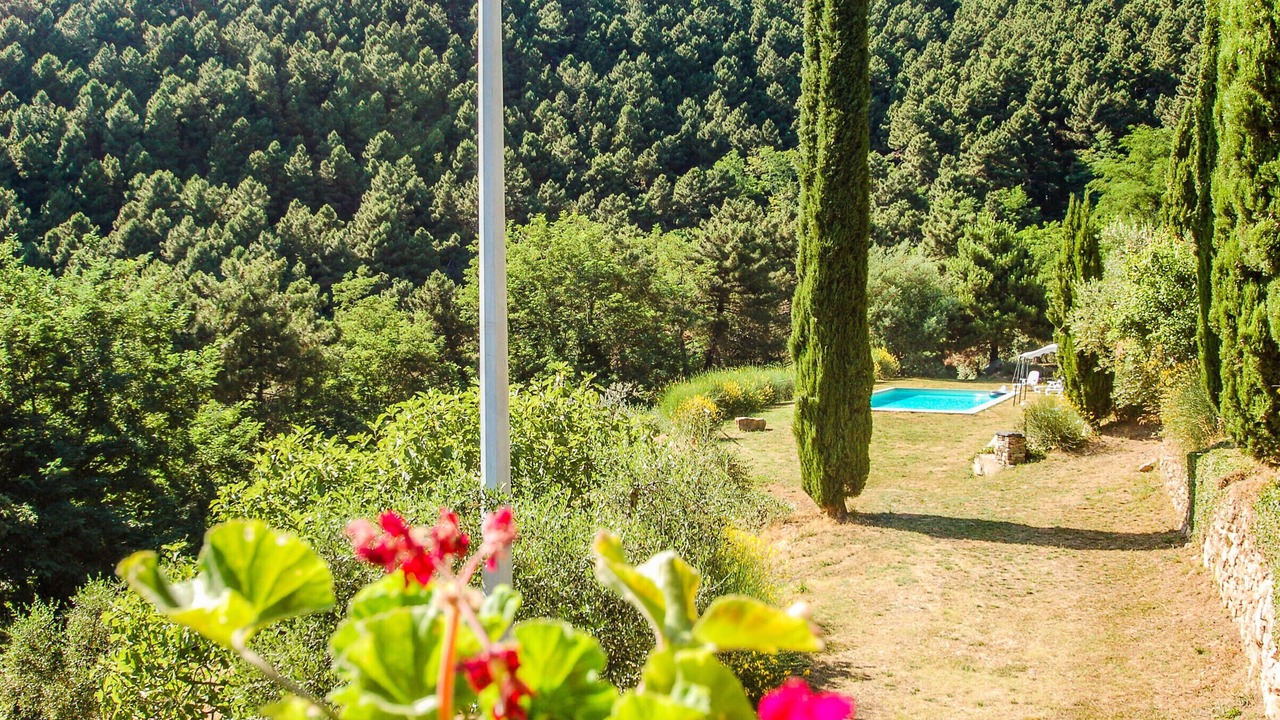 Photo of Outdoor in Buti