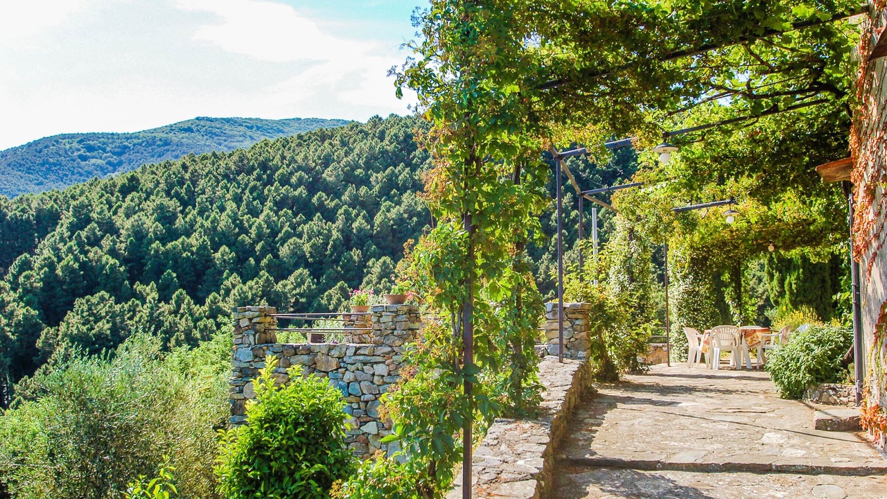 Photo of Outdoor in Buti