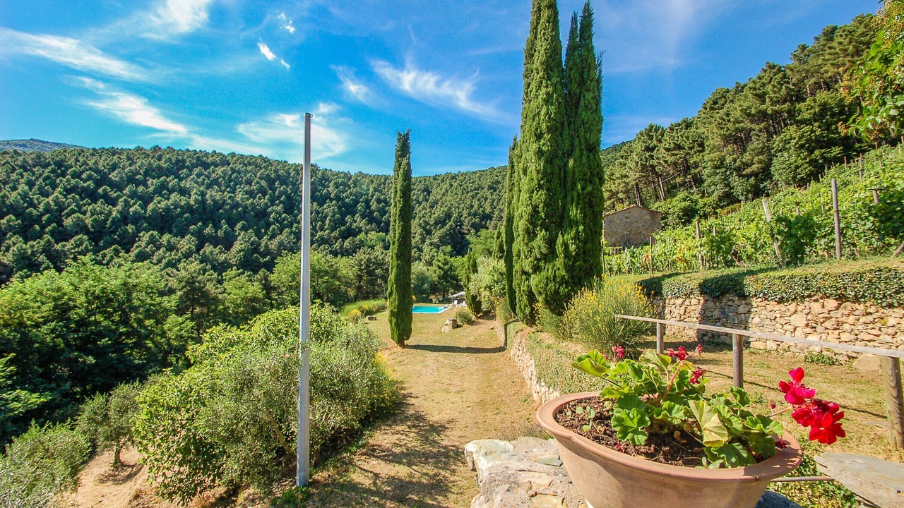 Photo of Outdoor in Buti