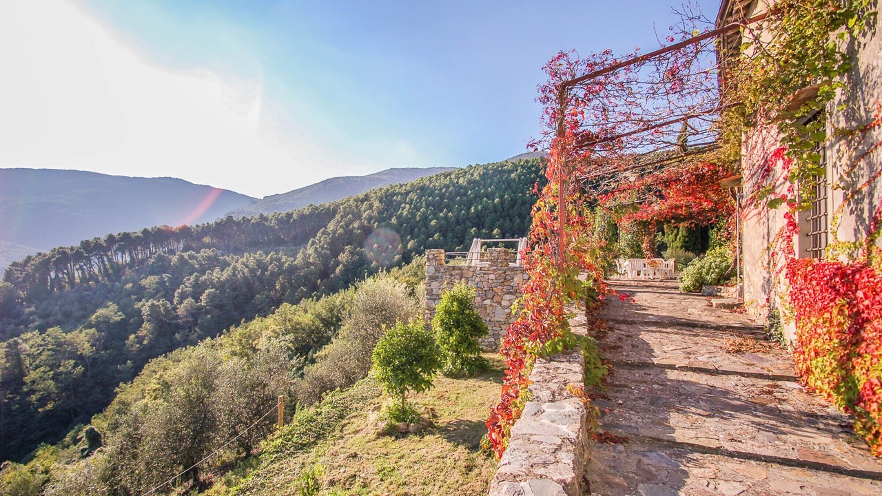 Photo of Outdoor in Buti