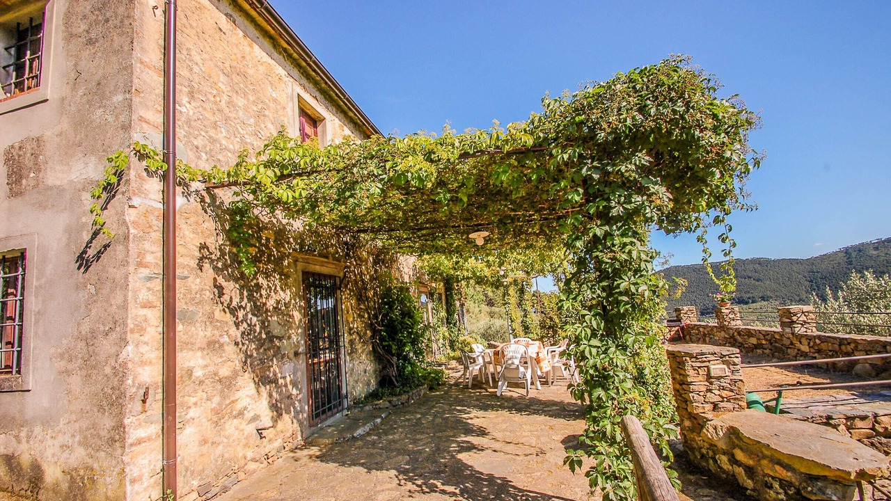 Photo of Outdoor in Buti