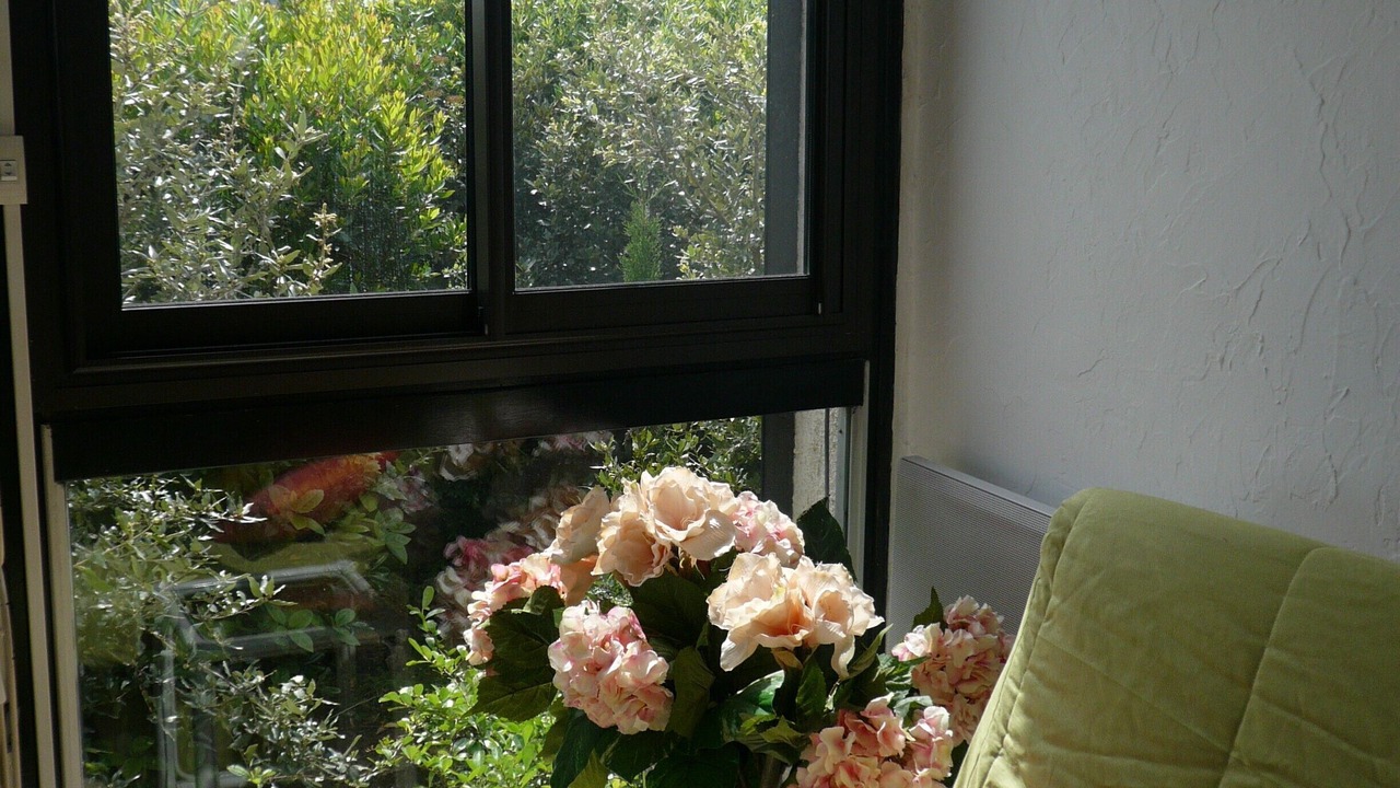 Photo of Others in Mandelieu-La-Napoule