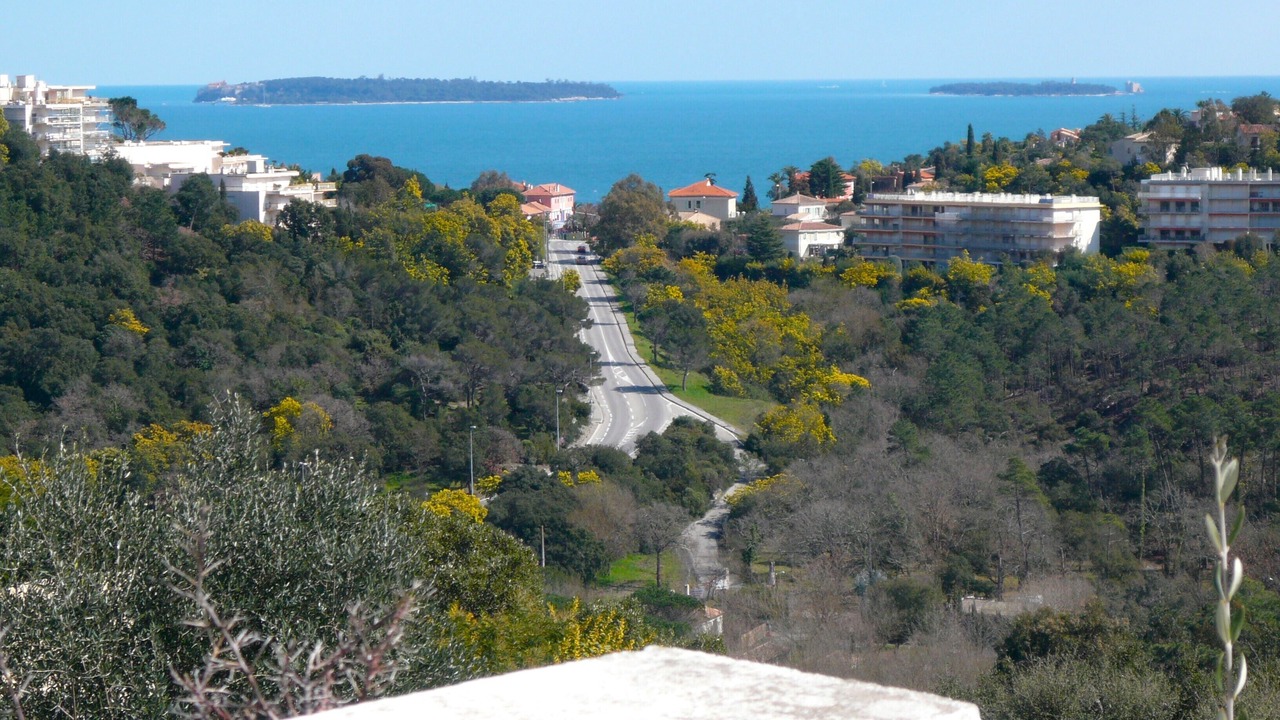 Photo of Others in Mandelieu-La-Napoule