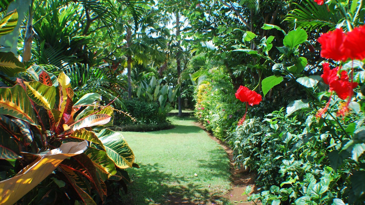 Photo of Outdoor in Lokapaksa