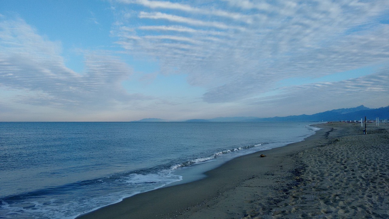 Photo of Others in Viareggio