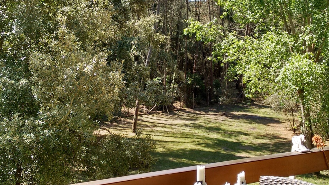 Photo of Outdoor in Viareggio