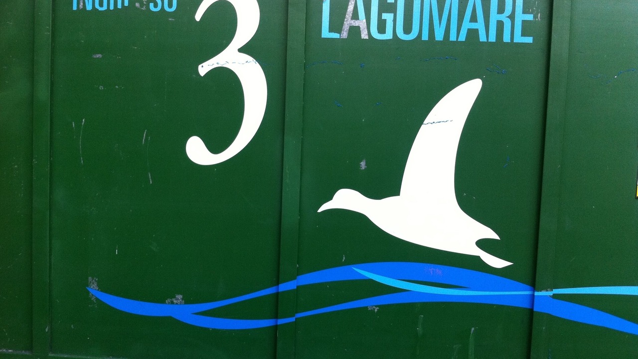 Photo of Others in Viareggio