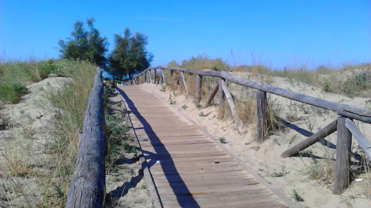 Photo of Others in Viareggio