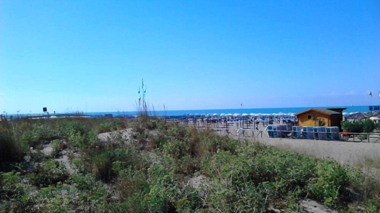 Photo of Others in Viareggio
