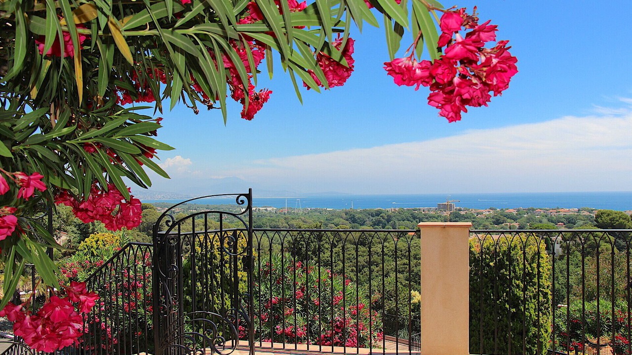 Photo of Outdoor in Antibes