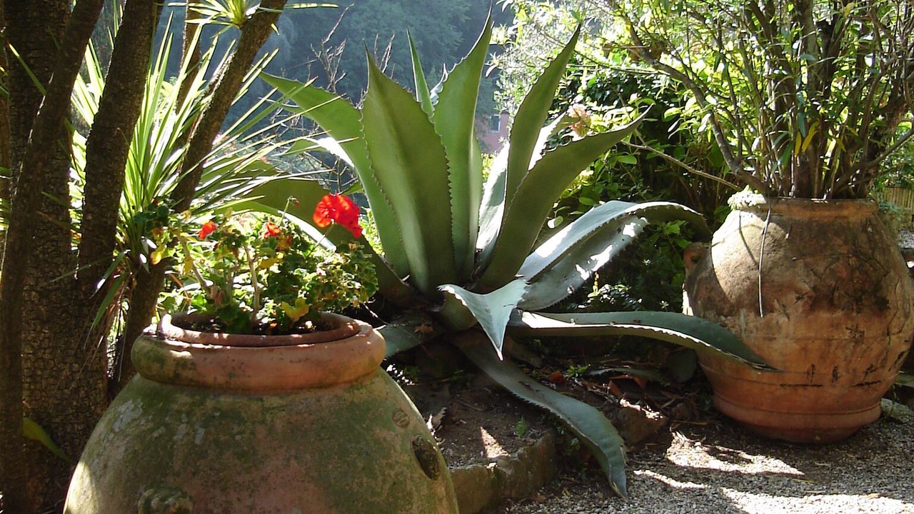 Photo of Outdoor in Paraggi