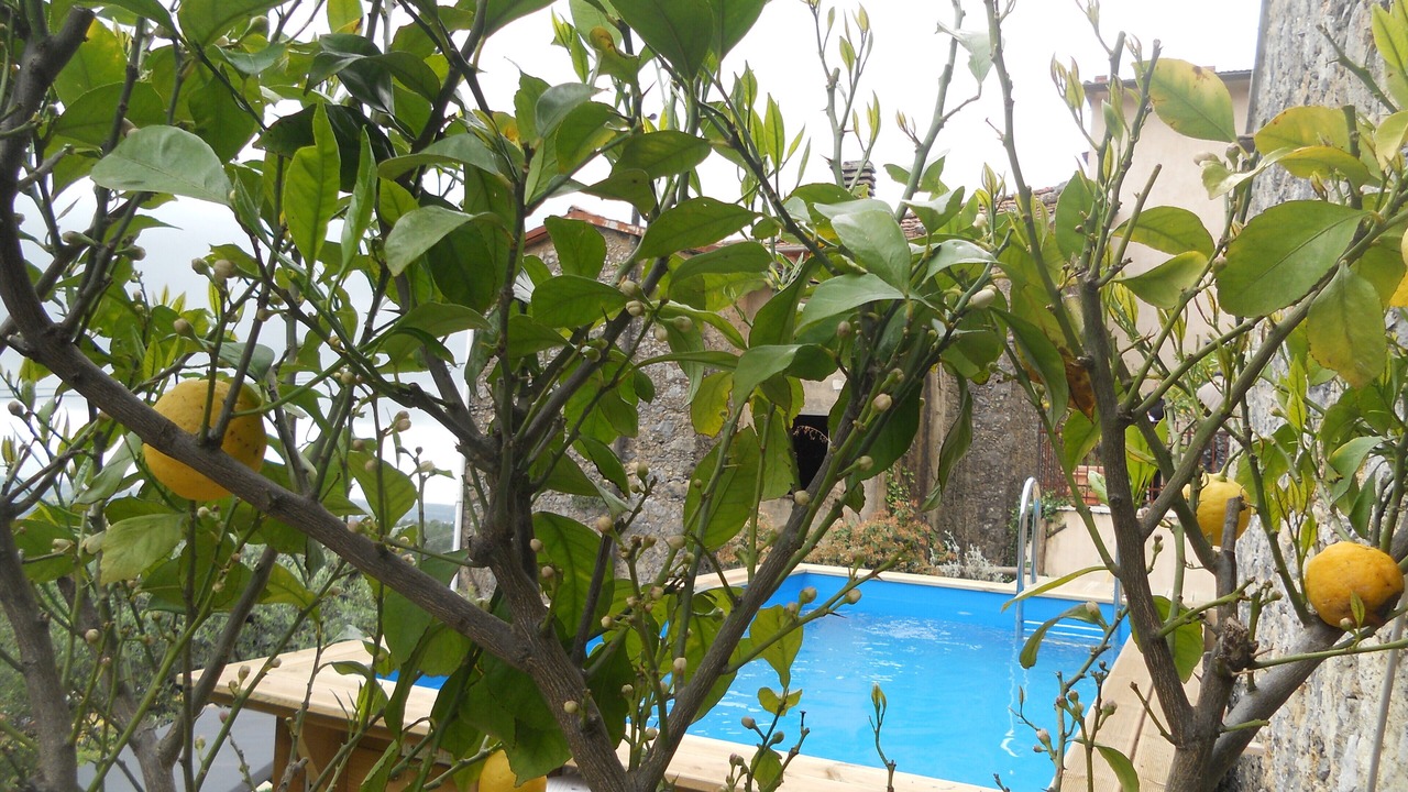 Photo of Outdoor in Camaiore