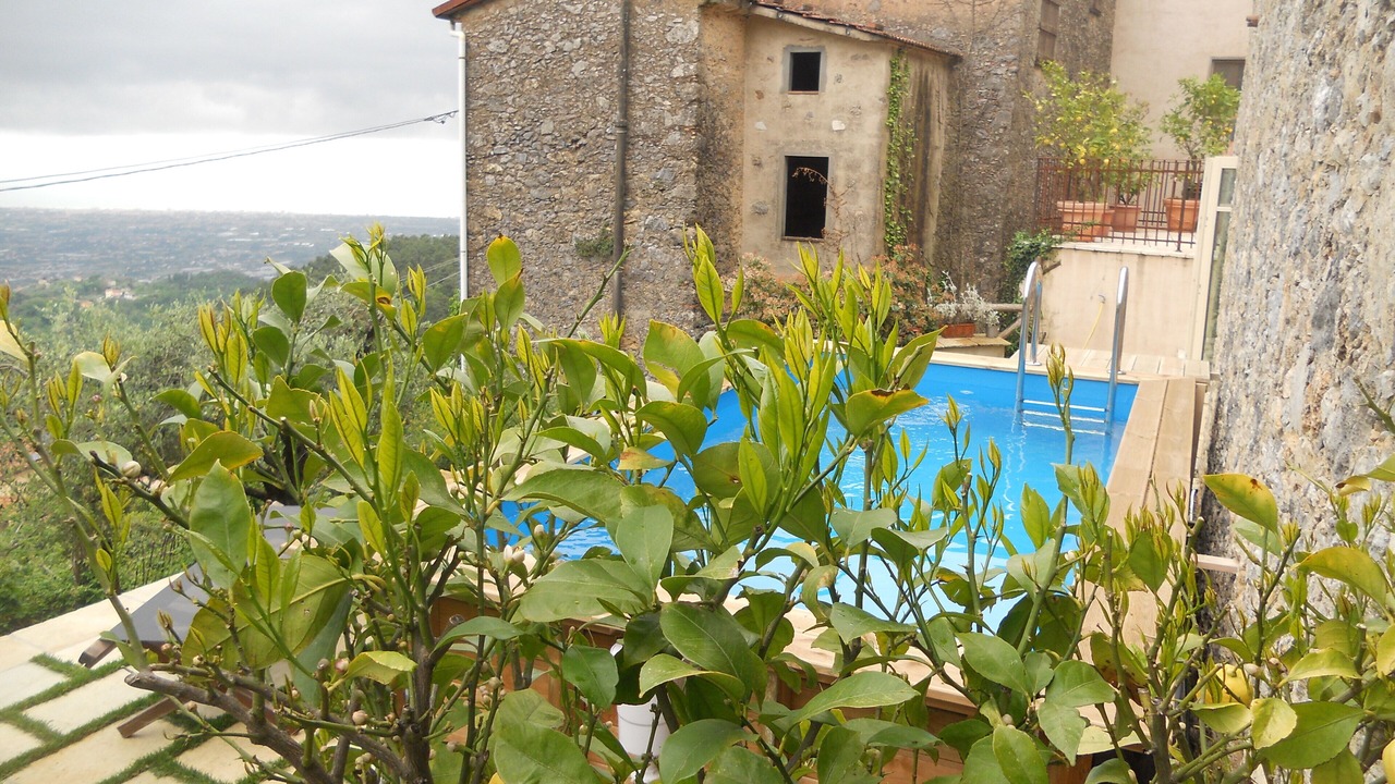 Photo of Outdoor in Camaiore